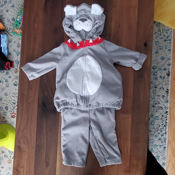 Bulldog kit 3-6 months - Picture 1 of 1